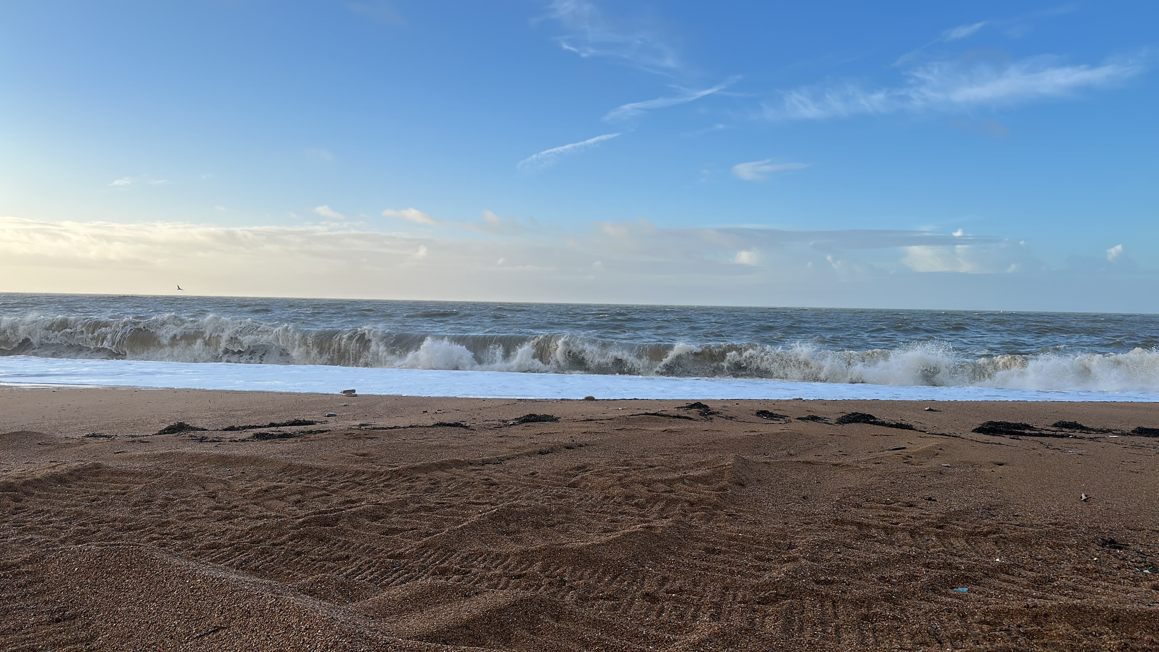 Dorset coast